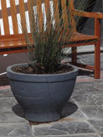 Lacotta - Pots & Tiles